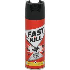 Fast Kill Regular Aerosol Insecticide